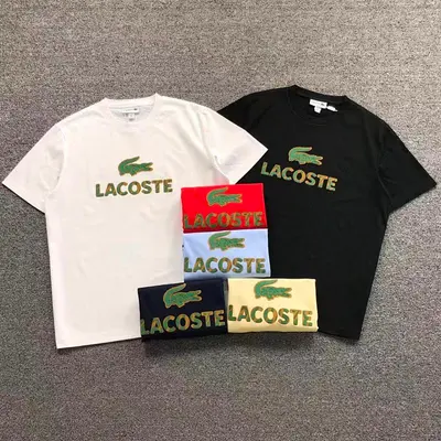 ￥85 LACOSTE T-SHIRT 2203120303（im 170cm 60kg i wear size L in the phot）