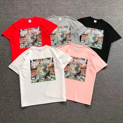 ￥95 S⭐⭐R⭐⭐E T-SHIRT 123141102（im 170cm 60kg i wear size M in the phot）