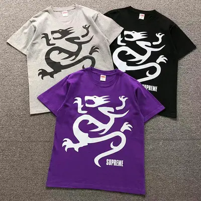 ￥95 S⭐⭐R⭐⭐E T-SHIRT 123130102（im 170cm 60kg i wear size M in the phot）