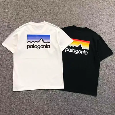 ￥78 PATAGONIA T-SHIRT 123142702（im 170cm 60kg i wear size M in the phot）