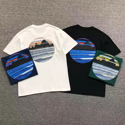 ￥78 PATAGONIA T-SHIRT 123142602（im 170cm 60kg i wear size M in the phot）