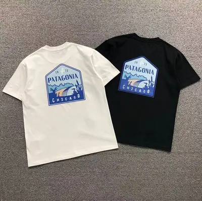 ￥78 PATAGONIA T-SHIRT 123141902（im 170cm 60kg i wear size M in the phot）