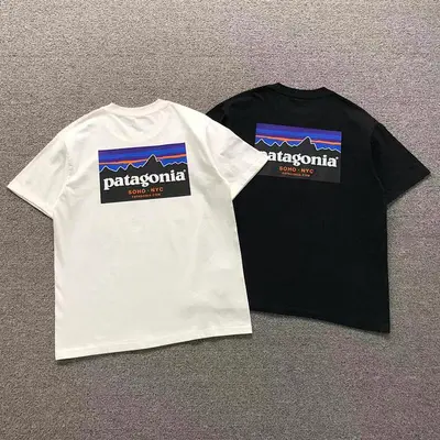 ￥78 PATAGONIA T-SHIRT 123141802（im 170cm 60kg i wear size M in the phot）