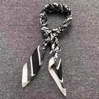 ¥88 D⭐O⭐ SCARF 5231995102 (长90CM*宽90CM*)