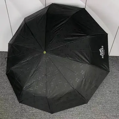 ￥95 H⭐R⭐⭐S UMBRELLA 524012676