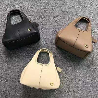 ￥228 C⭐A⭐H BAG 4204112275 (长25CM*宽13CM*高18CM)