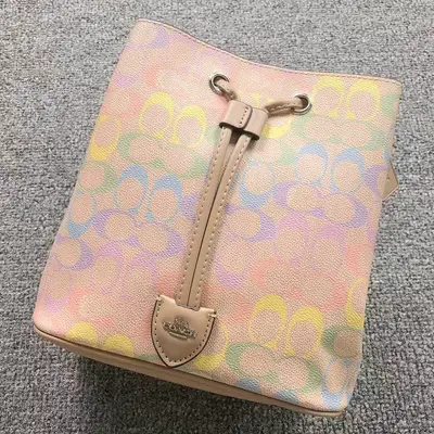 ￥228 C⭐A⭐H BAG 4204171175 (长20CM*宽13CM*高22CM)