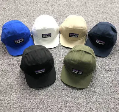 ￥68 PATAGONIA HAT 2204201376