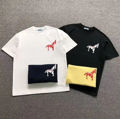 ￥118 P⭐A⭐A T-SHIRT 5242519147（im 170cm 60kg i wear size M in the phot）