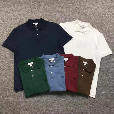 ¥118 LACOSTE POLO 4205130477 (im 170cm 60kg i wear size L in the phot)