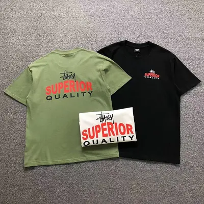 ￥85 STUSSY T-SHIRT 4205140298（im 170cm 60kg i wear size M in the phot）