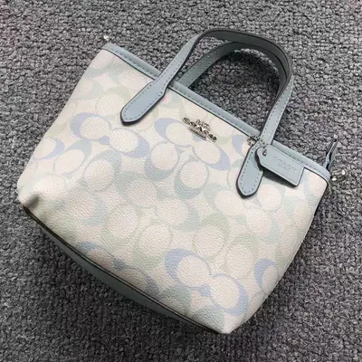 ￥178 C⭐A⭐H BAG 4206020275 (长22CM*宽8CM*高16CM)