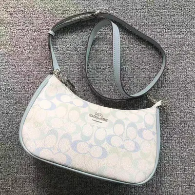 ￥178 C⭐A⭐H BAG 4206020475 (长24CM*宽8CM*高13CM)