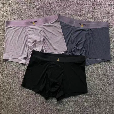 ￥95 P⭐A⭐A UNDERWEAR 12680509