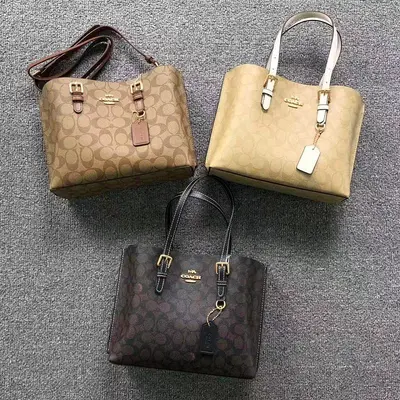 ￥145 C⭐A⭐H BAG 2206230576 (长27CM*宽9CM*高21CM)