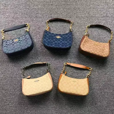 ￥129 C⭐A⭐H BAG 2206230876 (长25CM*宽7CM*高14CM)