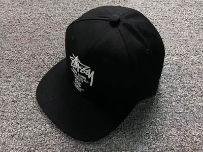 ￥79 STUSSY HAT 126250243
