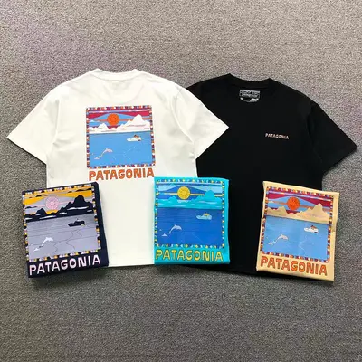 ￥82 PATAGONIA T-SHIRT 126302202（im 170cm 60kg i wear size M in the phot）