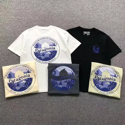 ￥82 PATAGONIA T-SHIRT 126303002（im 170cm 60kg i wear size M in the phot）