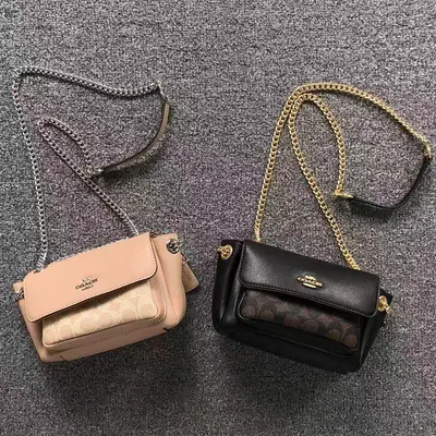 ¥218 C⭐A⭐H BAG 4207240875 (长18CM*宽8CM*高11CM)