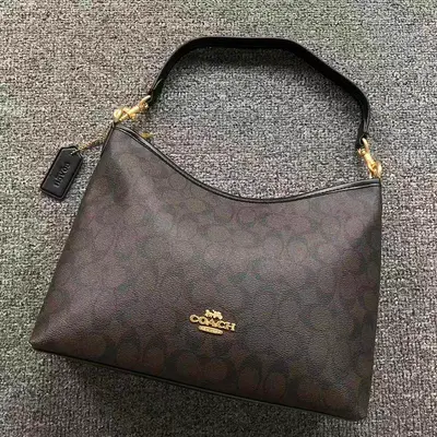 ￥129 C⭐A⭐H BAG 2208062401 (长31CM*宽9CM*高21CM)