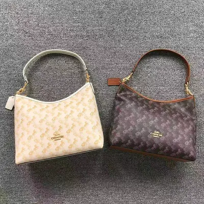 ￥129 C⭐A⭐H BAG 2208062501 (长31CM*宽9CM*高21CM)