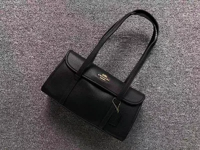 ¥258 C⭐A⭐H BAG 4208220375 (长30CM*宽7CM*高15CM)