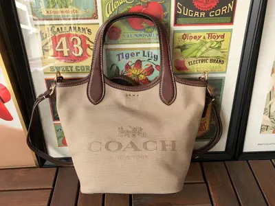¥~228 C🔥A🔥H BAG 22010358