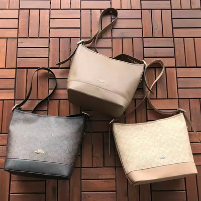￥~239 C🔥A🔥H BAG 22110445 (长32CM*宽26CM*高15CM)