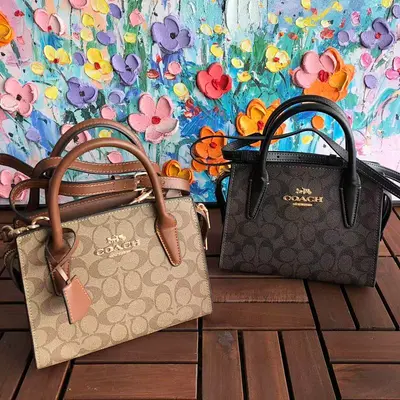 ￥~259 C🔥A🔥H BAG 22120149 (长17CM*宽21CM*高10CM）