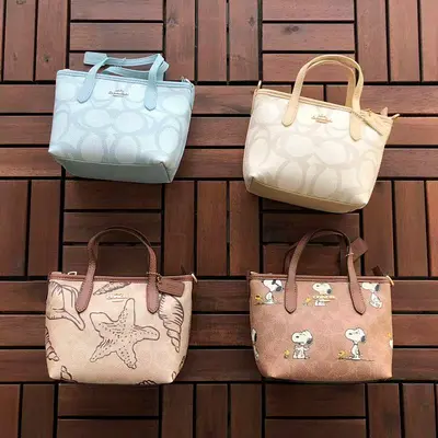 ¥~179 C🔥A🔥H BAG 22121668 (长21CM*宽15CM*高7CM)