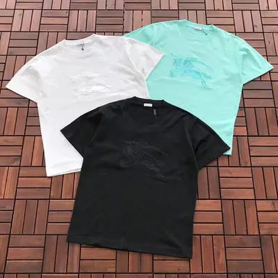 ￥~109 B🔥RB🔥RRY T-SHIRT 77010809 (im 176CM 58KG iwear size M in the photo)