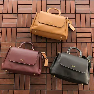 ¥~308 C🔥A🔥H BAG 66011943 (长30CM*宽20CM*高13CM)