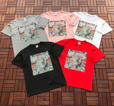 ￥~95 S🔥P🔥E🔥E T-SHIRT 55022769 (im 176CM 58KG iwear size M in the photo)