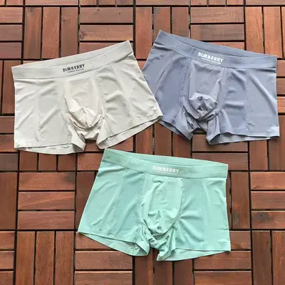 ￥~89 B🔥RB🔥RRY UNDERPANTS 66032563