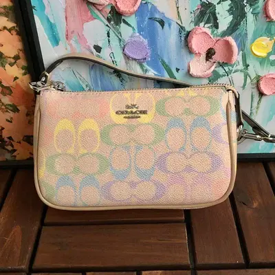 ¥~169 C🔥A🔥H BAG 66040194 (长19CM*宽12CM*高5CM)