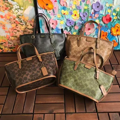 ￥~219 C🔥A🔥H BAG 66040230 (长28CM*宽16CM*高11CM)