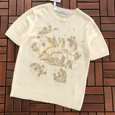 🔥1:1🔥￥~365 D🔥O🔥 T-SHIRT SWEATER WOMAN 66040625
