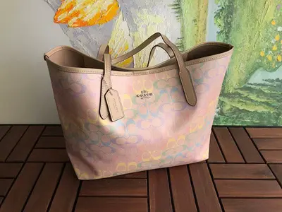 ￥~199 C🔥A🔥H BAG 66040764 (长45CM*宽27CM*高14CM)