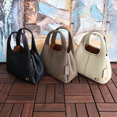 ￥~229 C🔥A🔥H BAG 66040759 (长24CM*宽15CM*高9CM)
