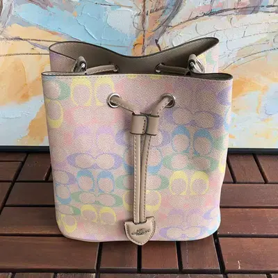 ￥~229 C🔥A🔥H BAG 66040763 (长20CM*宽22CM*高14CM)