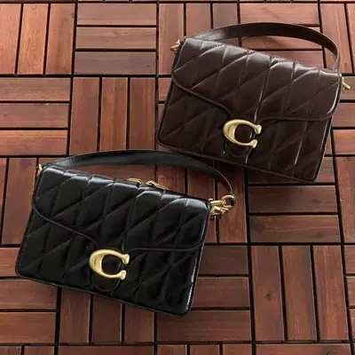 ￥~349 C🔥A🔥H BAG 66040760 (长25CM*宽16CM*高11CM)