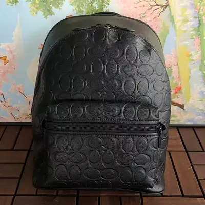 ￥385 C🔥A🔥H BAG 88041008 (长29CM*宽39CM*高17CM)