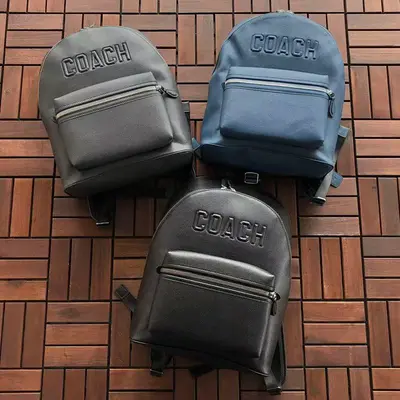 ￥385 C🔥A🔥H BAG 88041005 (长29CM*宽39CM*高17CM)