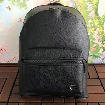 ￥385 C🔥A🔥H BAG 88041003 (长29CM*宽36CM*高17CM)