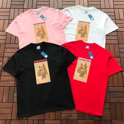 ¥~85 UNDEFEATED T-SHIRT 55051461 (im 185CM 80KG iwear size M in the photo)