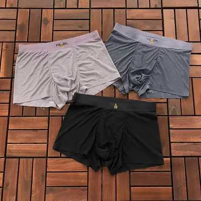 ￥~89 P🔥A🔥A UNDERPANTS 66060528