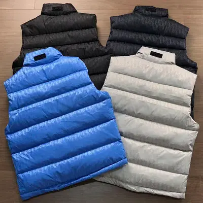 ￥~389 DI⭐R VEST 08281452