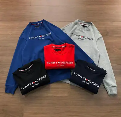 ￥~135 TO⭐MY HIL⭐IG⭐R HOODIE 11240553
