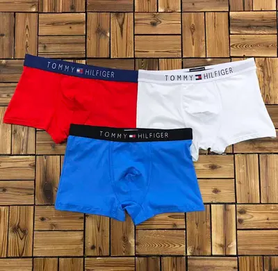 ￥~115 TO⭐MY HIL⭐IG⭐R UNDERWEAR 103170552